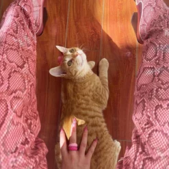 Women Western Boots Snake Pattern Pointed Toe Over The Knee Boots Leather Chunky Heel Thigh High Boots -UK Winter Shoes Sales 2023 32f3968e ff24 40fc 8600 a271fdaca909